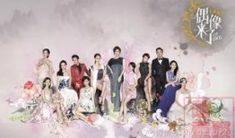 偶像来了在线观看,重温明星们的魅力瞬间