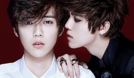 鹿晗爆料韩国女星视频播放,真相与争议